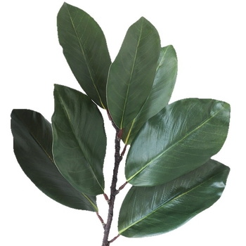 Umjetno bilje s listovima Fiddle Leaf Fig i magnolije, šumski stil za dom i svadbene dekoracije