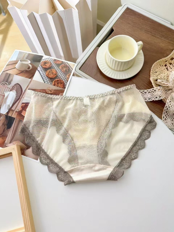 0497 Ženske gaćice s čipkom i mrežastom tkaninom od ice silk, srednji-niski struk