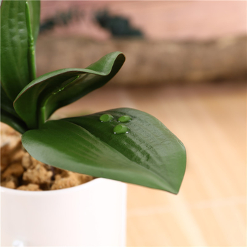 Frunze artificiale Phalaenopsis realiste pentru decor acasă și nunți