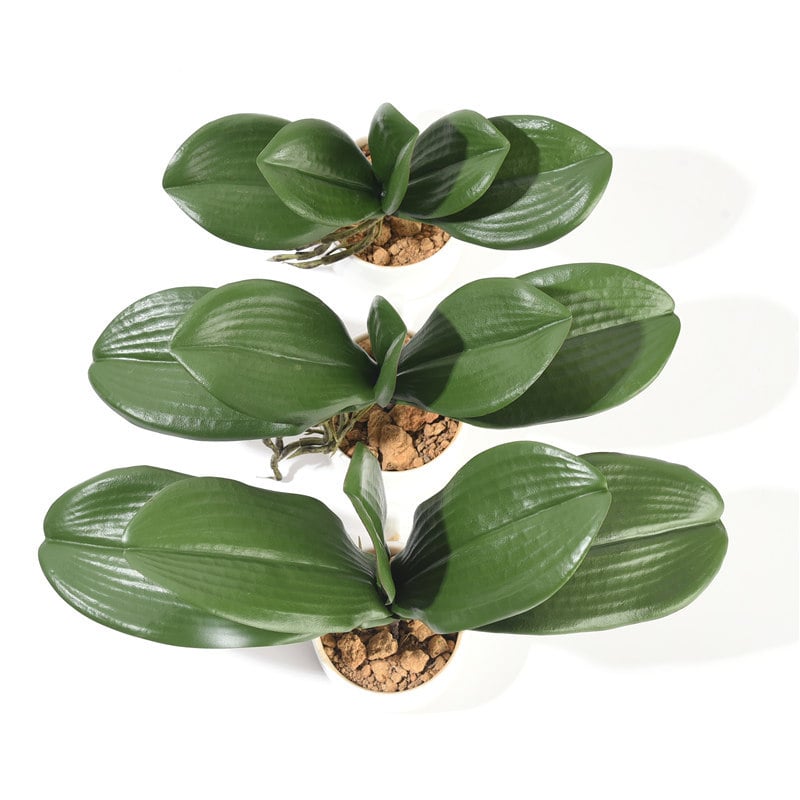 Frunze artificiale Phalaenopsis realiste pentru decor acasă și nunți