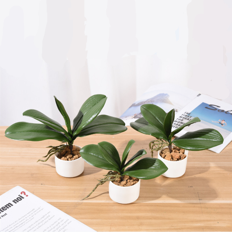 Frunze artificiale Phalaenopsis realiste pentru decor acasă și nunți