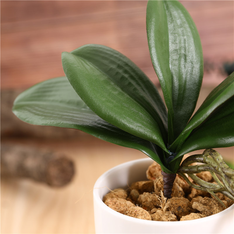 Frunze artificiale Phalaenopsis realiste pentru decor acasă și nunți