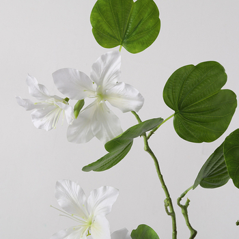 Umjetno cvijeće Bauhinia za svadbeni backdrop, izlog i dekoraciju krajolika
