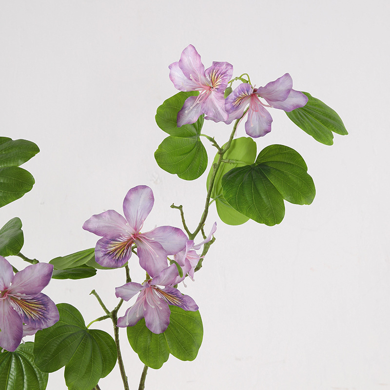 Umjetno cvijeće Bauhinia za svadbeni backdrop, izlog i dekoraciju krajolika