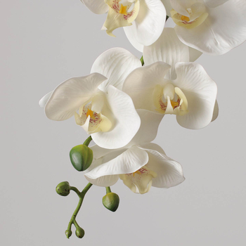 Phalaenopsis umjetni cvjetovi, 9 glav za kućnu dekoraciju i svadbene aranžmane