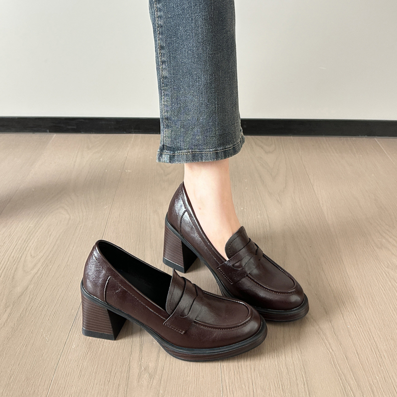 Ženske loaferice s postavljenom ovčjom vunom, tople za jesen i zimu, visoki debeli pet, britski stil kožne cipele