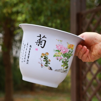 Ghiveci din rășină plastică, finisaj imitatie ceramică, deschidere mare, potrivit pentru plante decorative și suculente, durabil pentru plantare