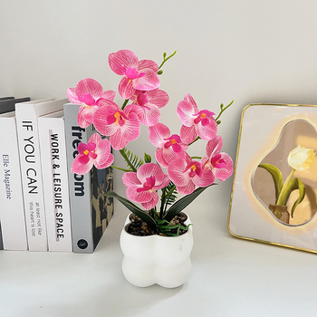 Nordijski stil četvrtasti uzorak orchid bonsai u vazi – dekor za ulaz i balkon