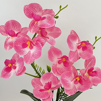 Nordijski stil četvrtasti uzorak orchid bonsai u vazi – dekor za ulaz i balkon
