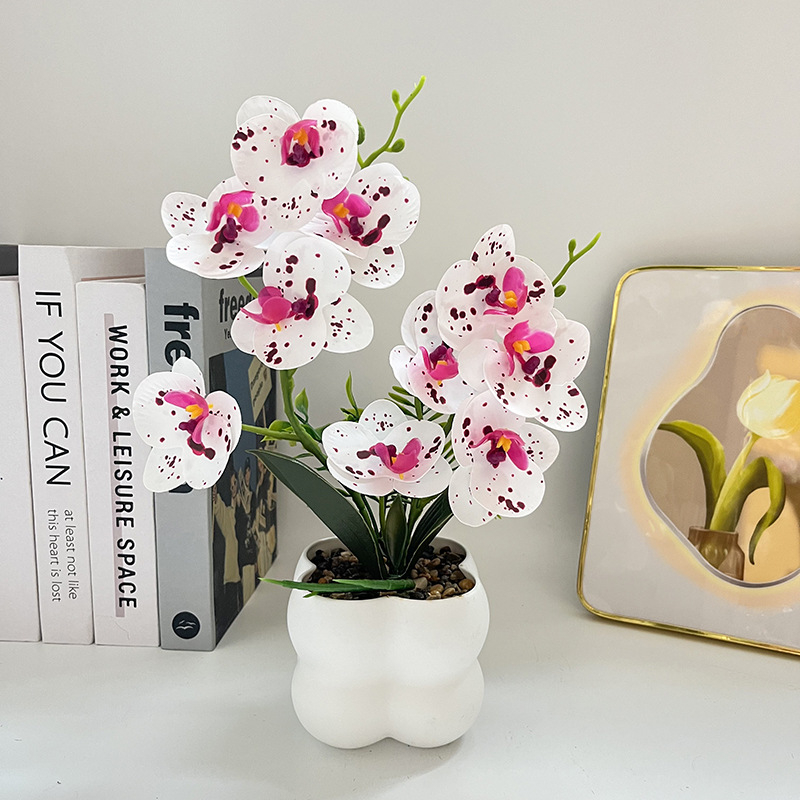 Nordijski stil četvrtasti uzorak orchid bonsai u vazi – dekor za ulaz i balkon