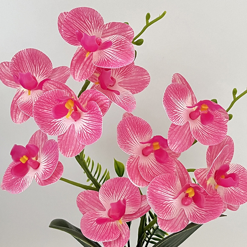 Nordijski stil četvrtasti uzorak orchid bonsai u vazi – dekor za ulaz i balkon
