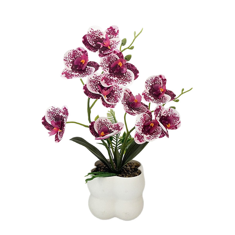 Nordijski stil četvrtasti uzorak orchid bonsai u vazi – dekor za ulaz i balkon