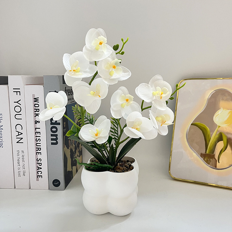 Nordijski stil četvrtasti uzorak orchid bonsai u vazi – dekor za ulaz i balkon