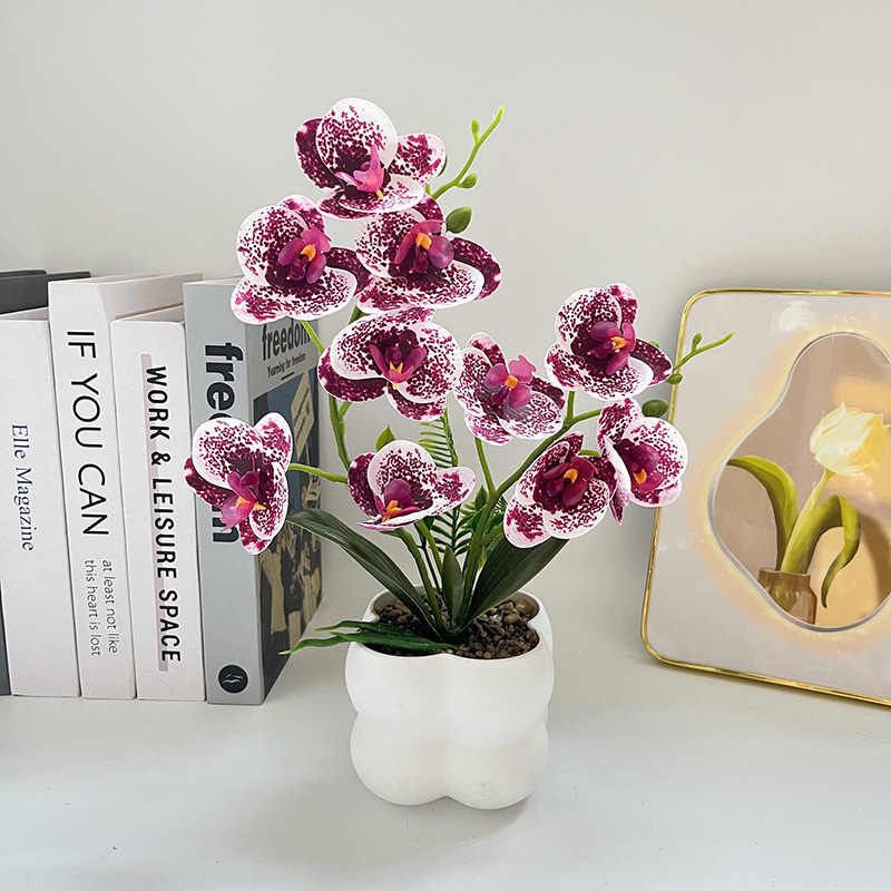 Nordijski stil četvrtasti uzorak orchid bonsai u vazi – dekor za ulaz i balkon