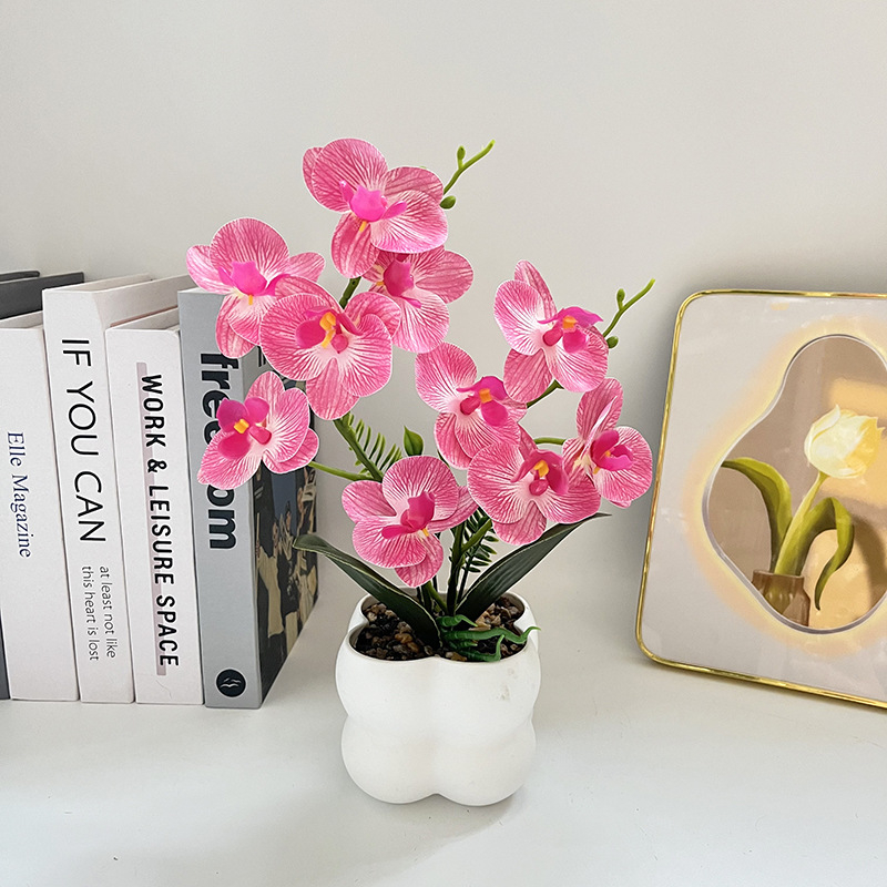 Nordijski stil četvrtasti uzorak orchid bonsai u vazi – dekor za ulaz i balkon