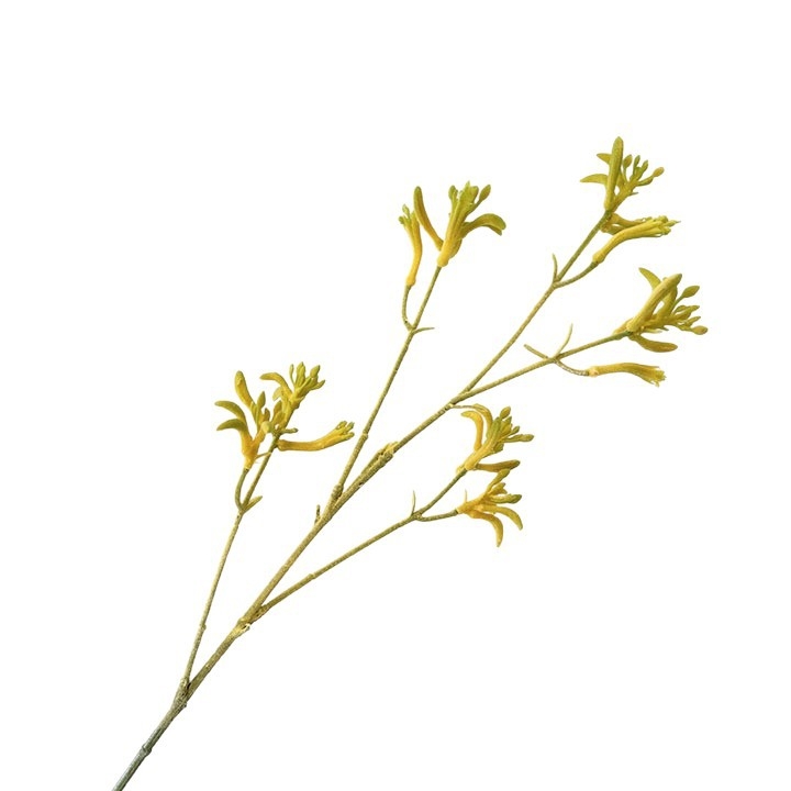 Umjetno velur cvijeće, kenguro šape, nišne floristicke materijale, svadbene dvorane aranžmani, ukrasni grančice