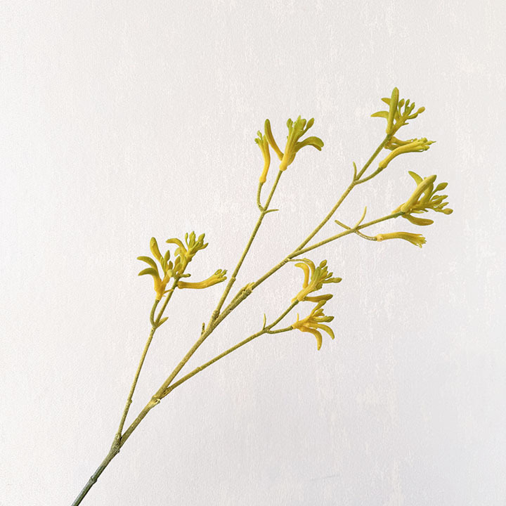 Umjetno velur cvijeće, kenguro šape, nišne floristicke materijale, svadbene dvorane aranžmani, ukrasni grančice