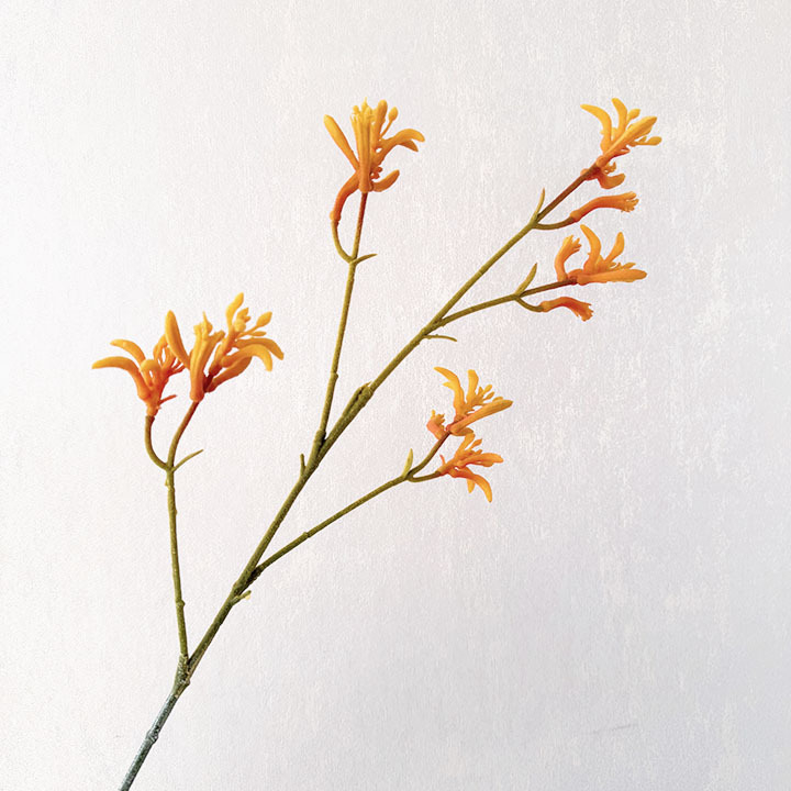 Umjetno velur cvijeće, kenguro šape, nišne floristicke materijale, svadbene dvorane aranžmani, ukrasni grančice