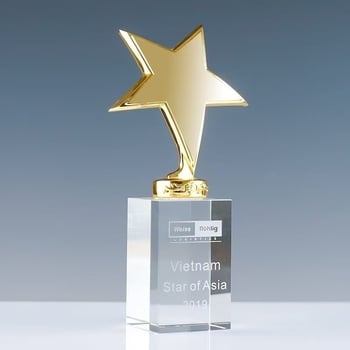 Kristalna mala trofeja s metalnim zvijezdom dizajnom, personalizirano graviranje za godišnju konferenciju i timsku nagradu