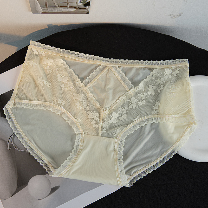 Francuski stil mrežaste čipkaste gaćice u nude nijansi, crotchless, srednje visoke, za žene