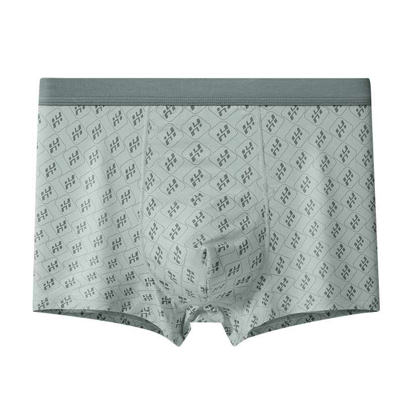 Ljetno muško modalno donje rublje, plus veličina, visoki pojas, boxer briefs, lagani materijal