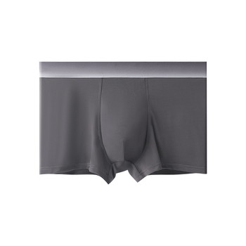 Ljetne muške bokserice od Ice Silk, prozračne, antibakterijska prepona, srednji struk, udobne, plus size, brzo sušeće