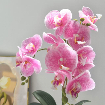 Umjetna orhideja Phalaenopsis u posudi za dekoraciju doma i ureda, bonsai stil aranžman, rekvizit za fotografiju