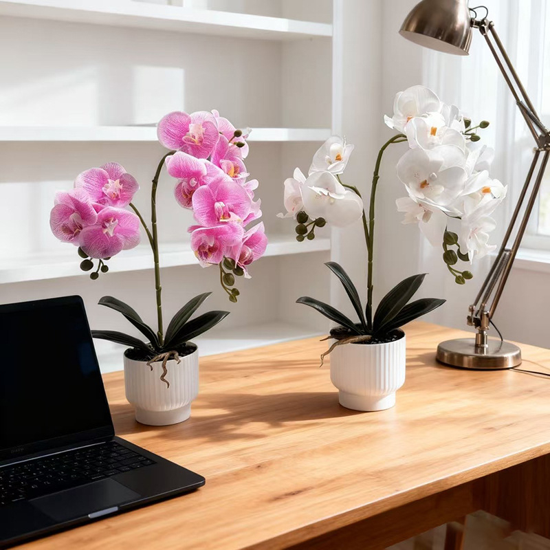 Umjetna orhideja Phalaenopsis u posudi za dekoraciju doma i ureda, bonsai stil aranžman, rekvizit za fotografiju