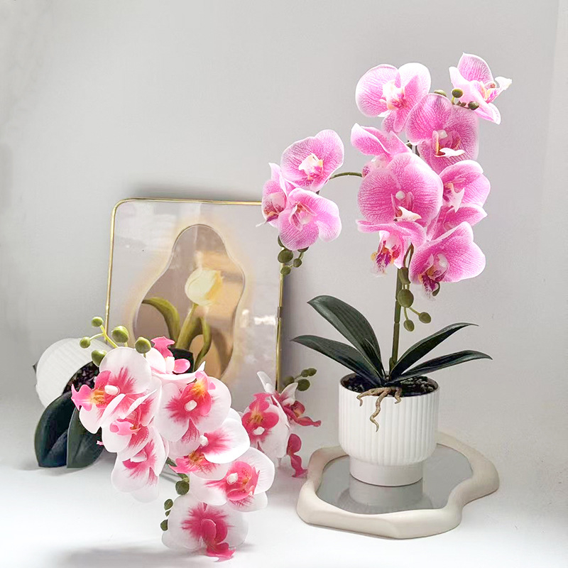 Umjetna orhideja Phalaenopsis u posudi za dekoraciju doma i ureda, bonsai stil aranžman, rekvizit za fotografiju
