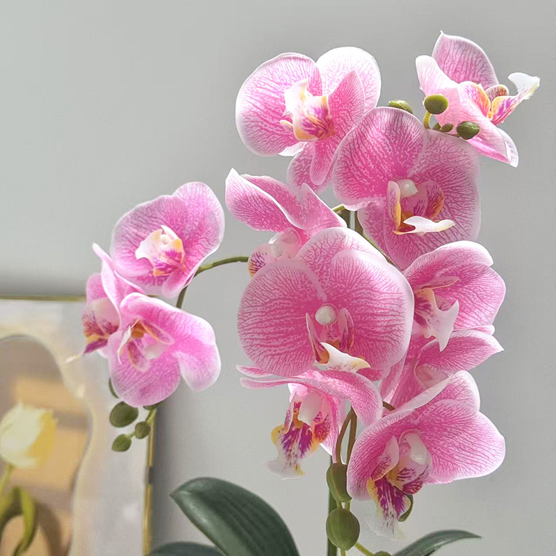 Umjetna orhideja Phalaenopsis u posudi za dekoraciju doma i ureda, bonsai stil aranžman, rekvizit za fotografiju