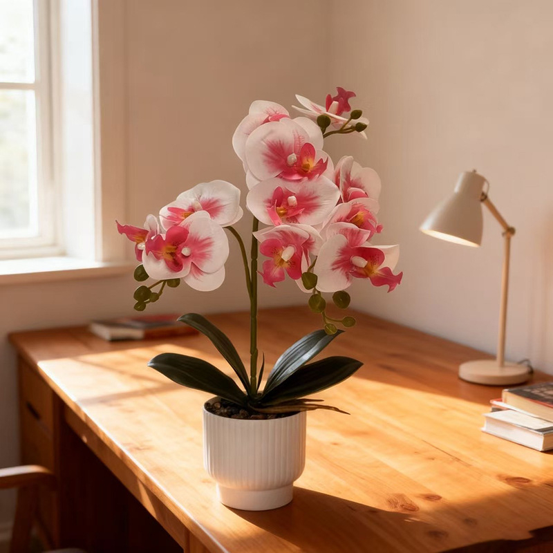 Umjetna orhideja Phalaenopsis u posudi za dekoraciju doma i ureda, bonsai stil aranžman, rekvizit za fotografiju