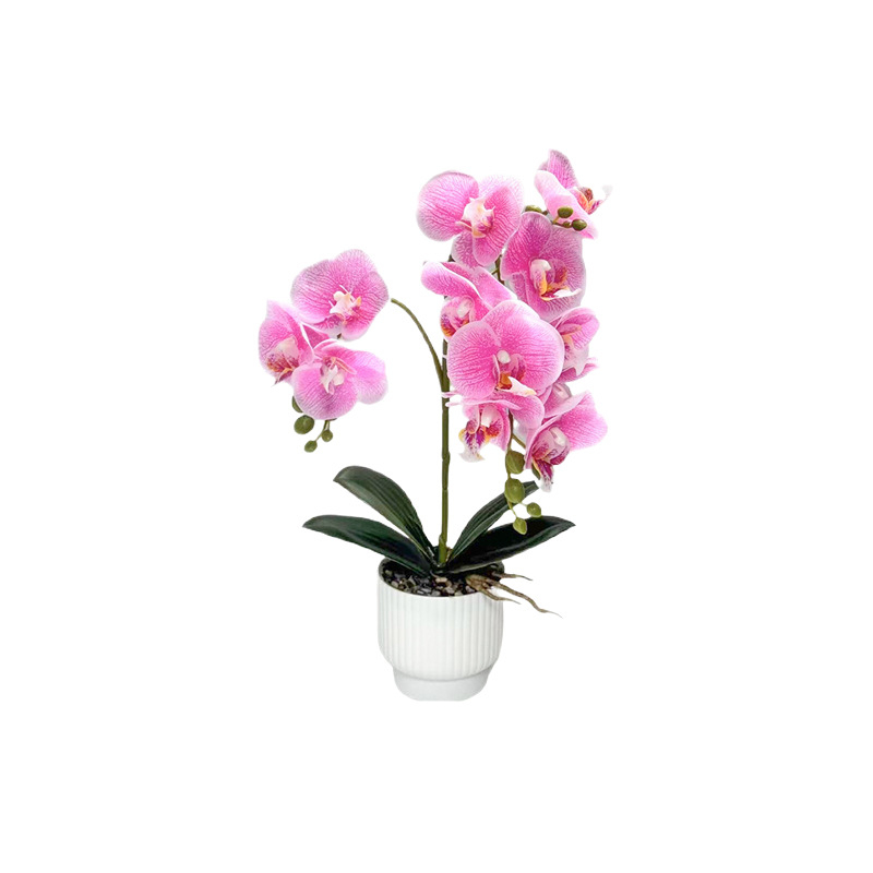 Umjetna orhideja Phalaenopsis u posudi za dekoraciju doma i ureda, bonsai stil aranžman, rekvizit za fotografiju