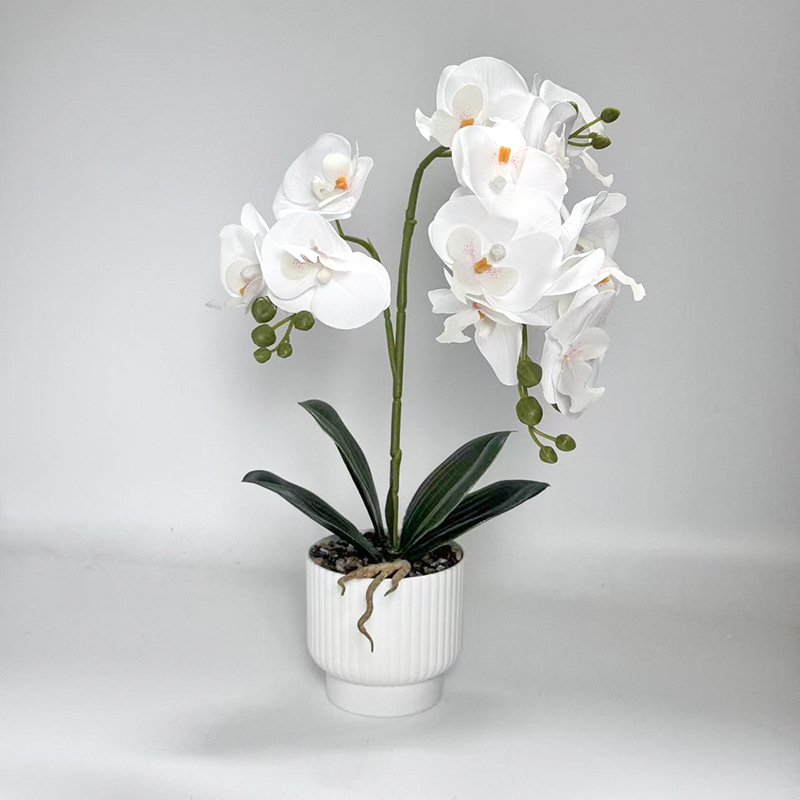 Umjetna orhideja Phalaenopsis u posudi za dekoraciju doma i ureda, bonsai stil aranžman, rekvizit za fotografiju