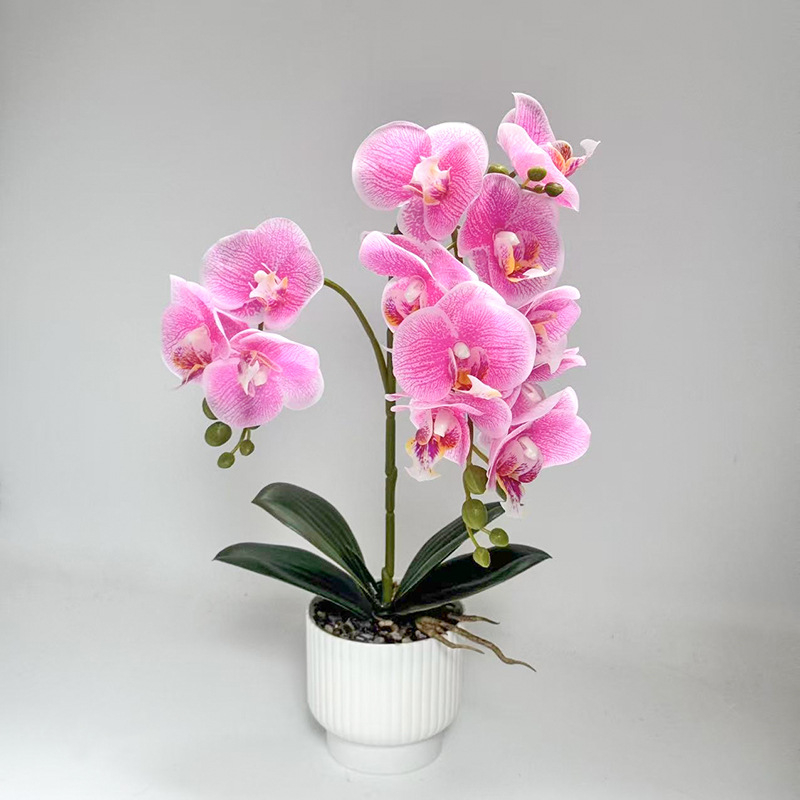Umjetna orhideja Phalaenopsis u posudi za dekoraciju doma i ureda, bonsai stil aranžman, rekvizit za fotografiju
