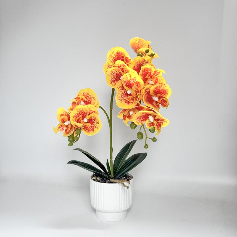 Umjetna orhideja Phalaenopsis u posudi za dekoraciju doma i ureda, bonsai stil aranžman, rekvizit za fotografiju
