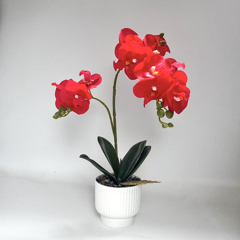 Umjetna orhideja Phalaenopsis u posudi za dekoraciju doma i ureda, bonsai stil aranžman, rekvizit za fotografiju