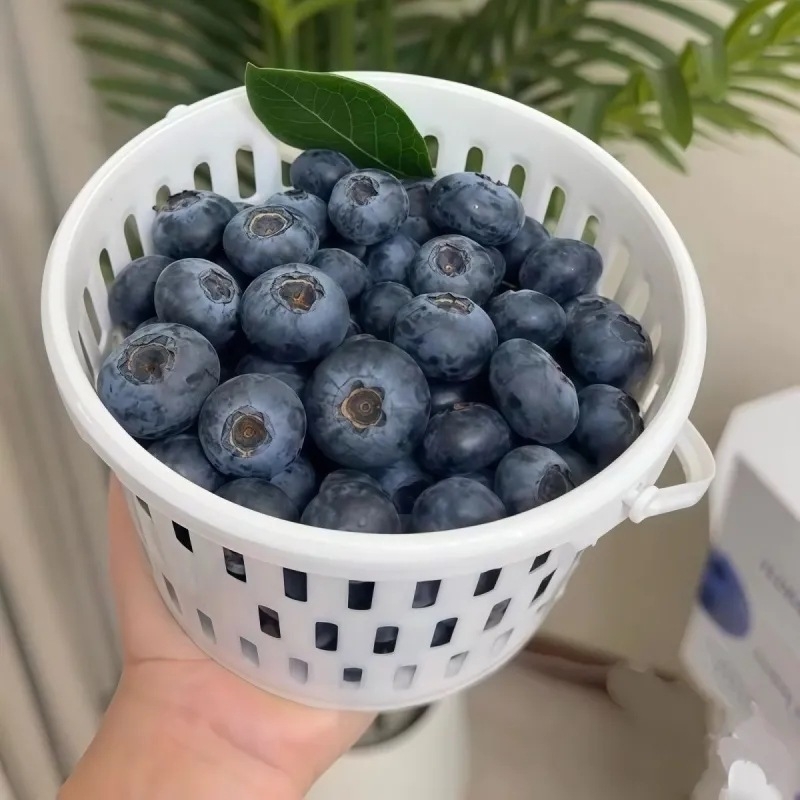 Bijeli plastični okrugli koš s poklopcem, lagano prijenosan za voće