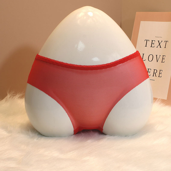 Ženske prozirne čipkaste bikini gaćice – prozračne, lagane, jednobojne, niska struka