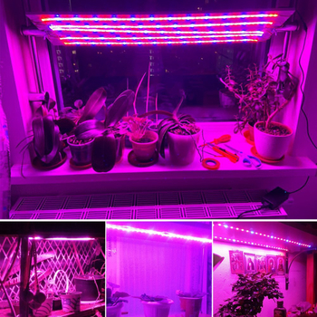 12V 5050 LED trak za uzgoj biljaka, nije vodootporan, daljinsko podešavanje rasvjete, 120° kut snopa, CRI 70, za cvijeće i povrće