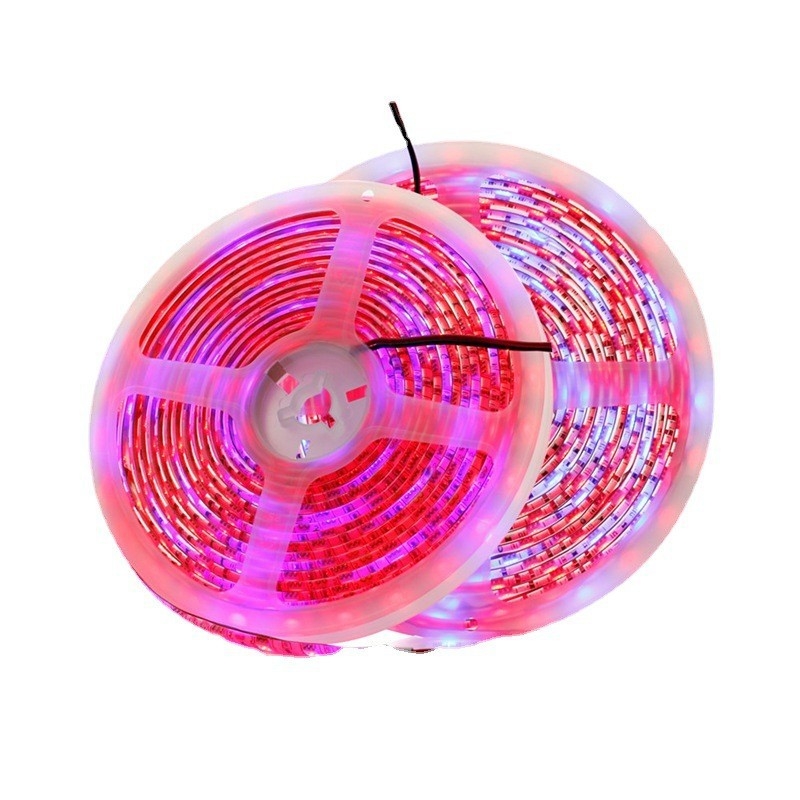 12V 5050 LED trak za uzgoj biljaka, nije vodootporan, daljinsko podešavanje rasvjete, 120° kut snopa, CRI 70, za cvijeće i povrće