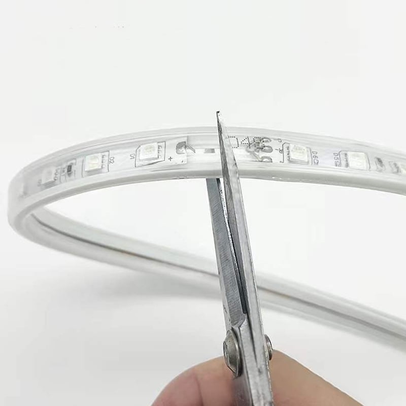 LED trak 5050, vodootporan za vanjsku upotrebu, 220V, RGB mijenja boje, regulacija jačine, s kućištem