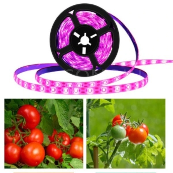 USB 5V LED traka za rast biljaka 2835, puni spektar, vodootporna za povrće, cvijeće i sukulente