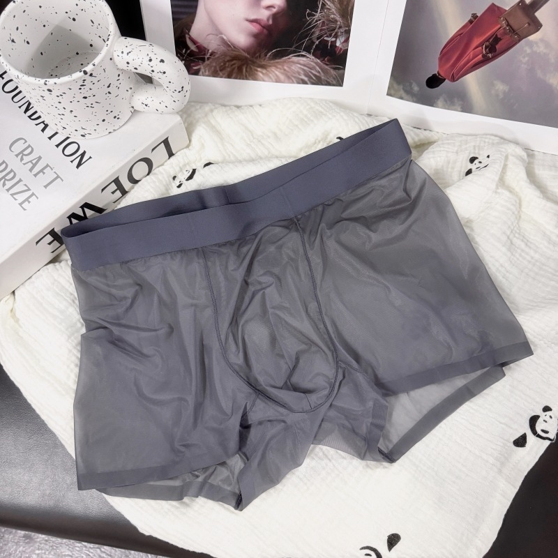 20D ultra-tanke ice silk muške gaćice – prirodni osjećaj, bezšivne, prozirna gusset, brzo sušenje, srednji pojas, najlon