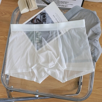Muške bokserice od Ice Silk, prozračne i lagane za ljeto, slobodan kroj, srednji porast struka