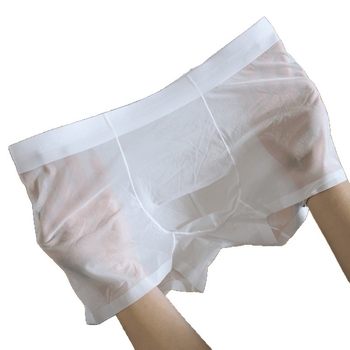 Muške bokserice od Ice Silk, prozračne i lagane za ljeto, slobodan kroj, srednji porast struka