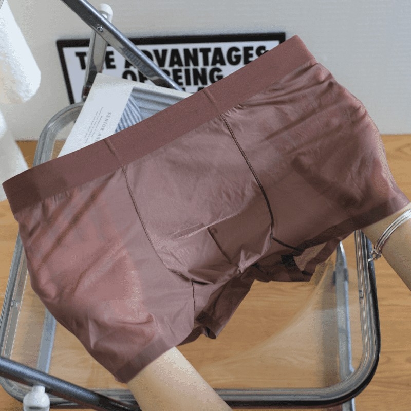 Muške bokserice od Ice Silk, prozračne i lagane za ljeto, slobodan kroj, srednji porast struka