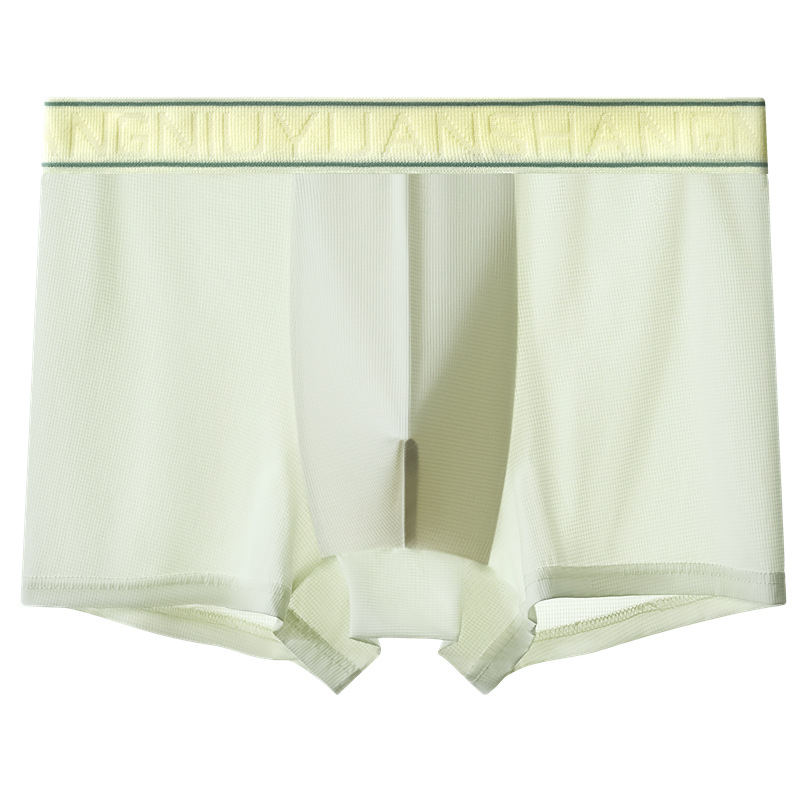 Muške boxerice od Ice Silk, antibakterijske i prozračne