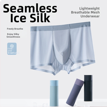 Muške ljetne bokserice s prozračnom mrežom, antibakterijske, brzo sušeće, Ice Silk tkanina