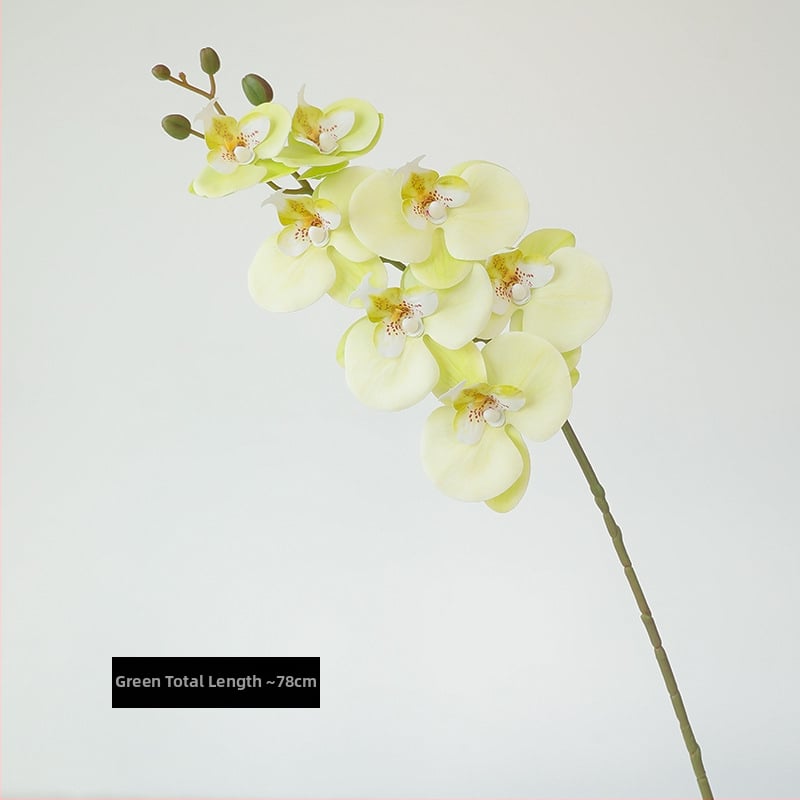 Phalaenopsis umjetni cvijet s mekanim dodirom, elegantna dekoracija za dnevni boravak, za stol za kavu i televizijski ormarić