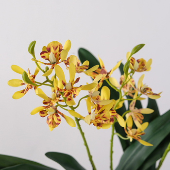 Umjetna Phalaenopsis orhideja, dvije grane i lišće, dekor za dnevni boravak u milanskom novokineskom stilu